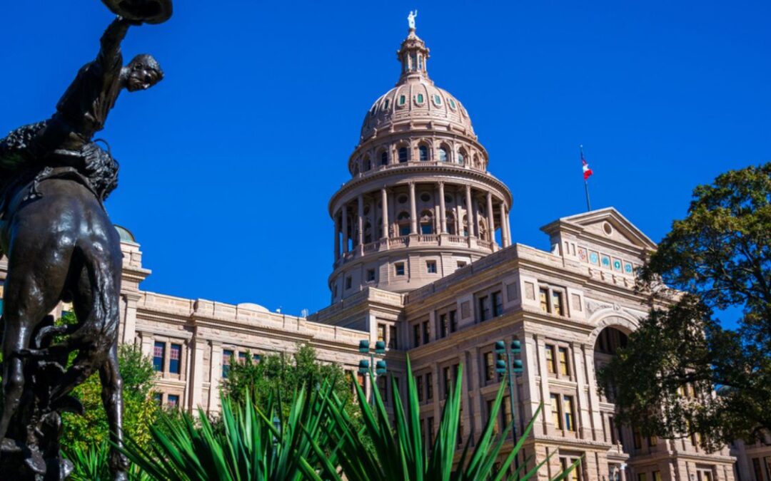 TX Senate Committee Advances Immigration Bill