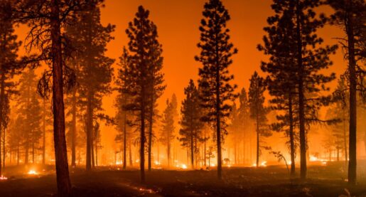 Dangerous Carcinogen Levels Post Wildfire