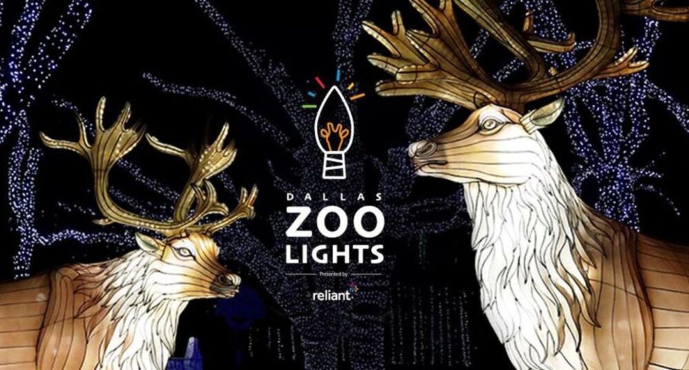 Dallas Zoo Lights Up the Holidays