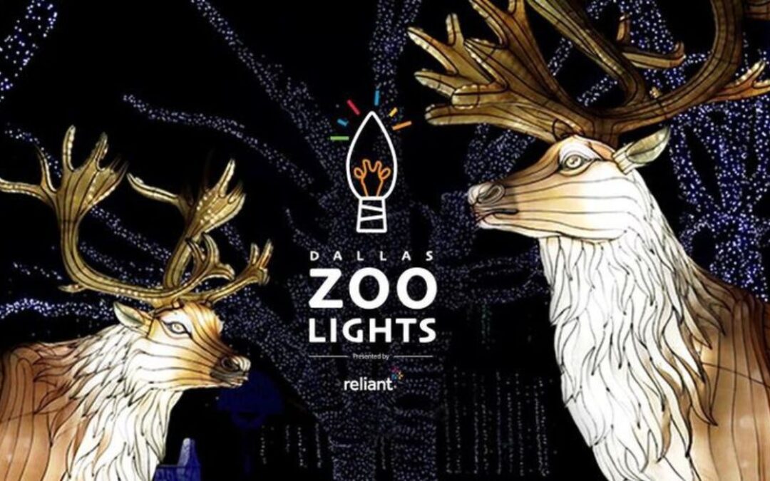 El zoológico de Dallas ilumina las fiestas