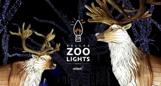 Dallas Zoo Lights Up the Holidays