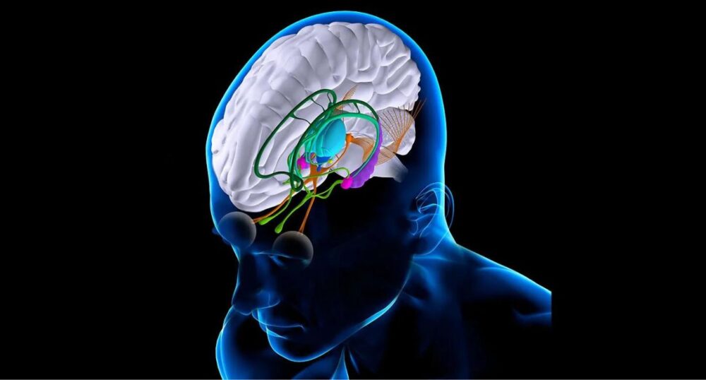 New Brain Implant Could Restore Lost Functions