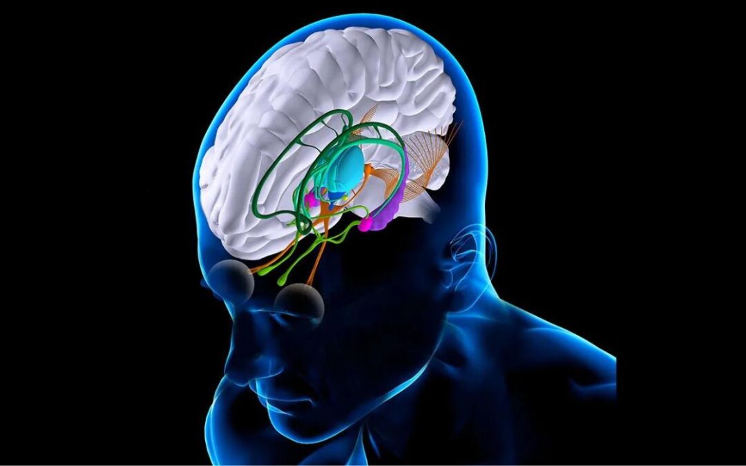 Un nuevo implante cerebral podría restaurar funciones perdidas