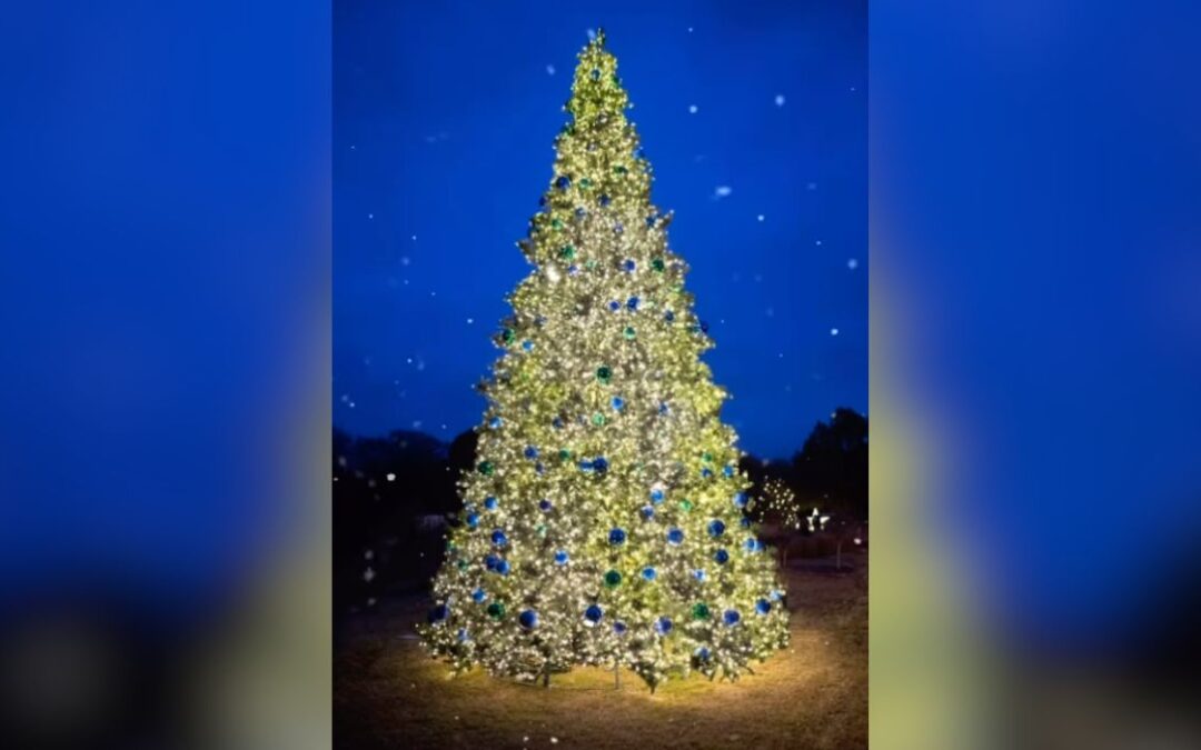 Festival y iluminación del árbol del parque Kiest de Dallas