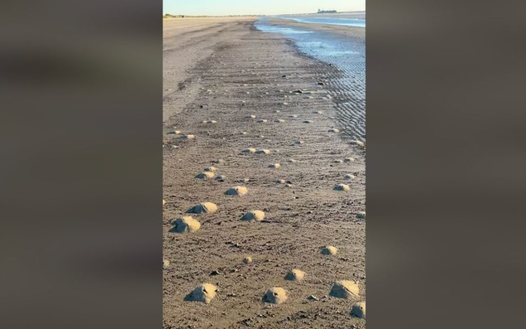 Aparecen 'minivolcanes' a lo largo de la playa de Texas