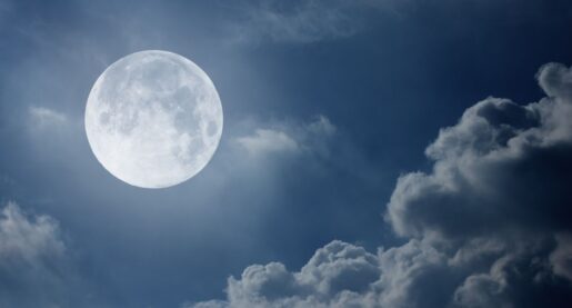 Cold Moon To Peak, Closing Out 2023