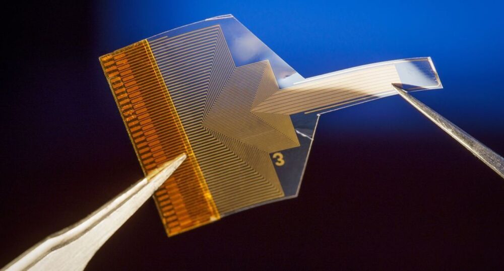 Scientists Construct New Neural Implant