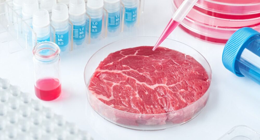New Technique May Lower Lab-Grown Meat Costs