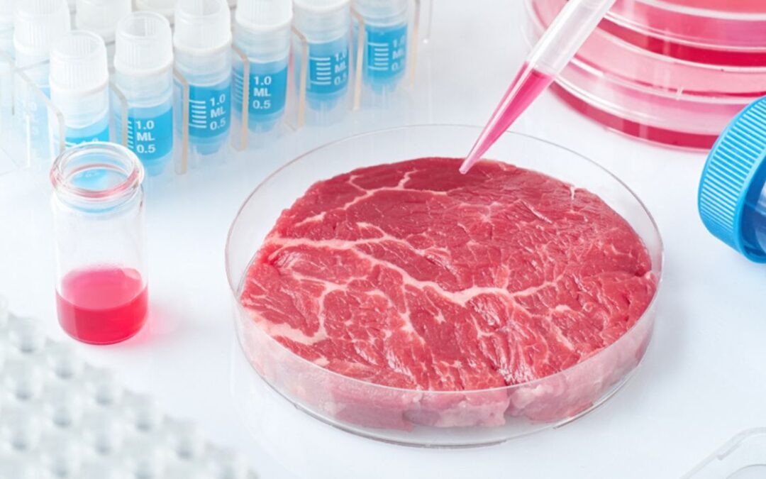 Una nueva técnica puede reducir los costos de la carne cultivada en laboratorio