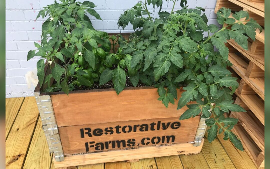 Restorative Farms ‘Produces’ Change