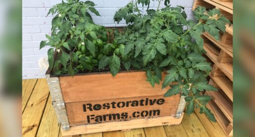 Restorative Farms ‘Produces’ Change