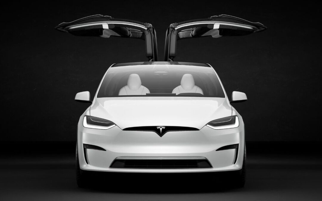 Tesla Ownership May Dictate AI Innovation