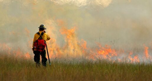 El Niño May Stunt Texas Wildfire Development