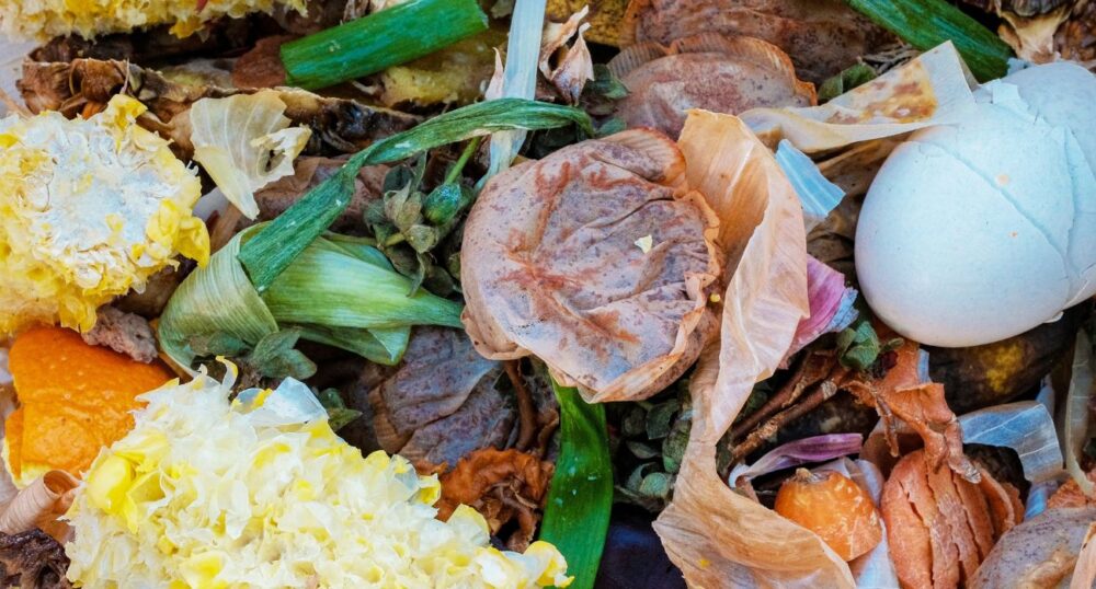 Texans Produce 5.7M Tons of Food Waste