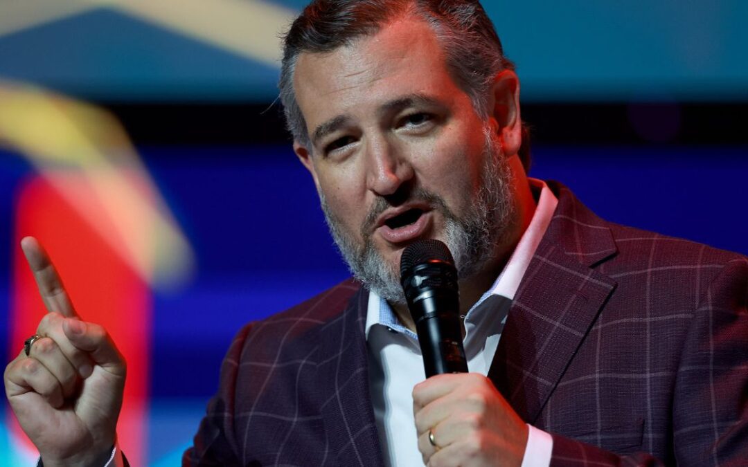 Ted Cruz Endorses Local Congressional Candidate