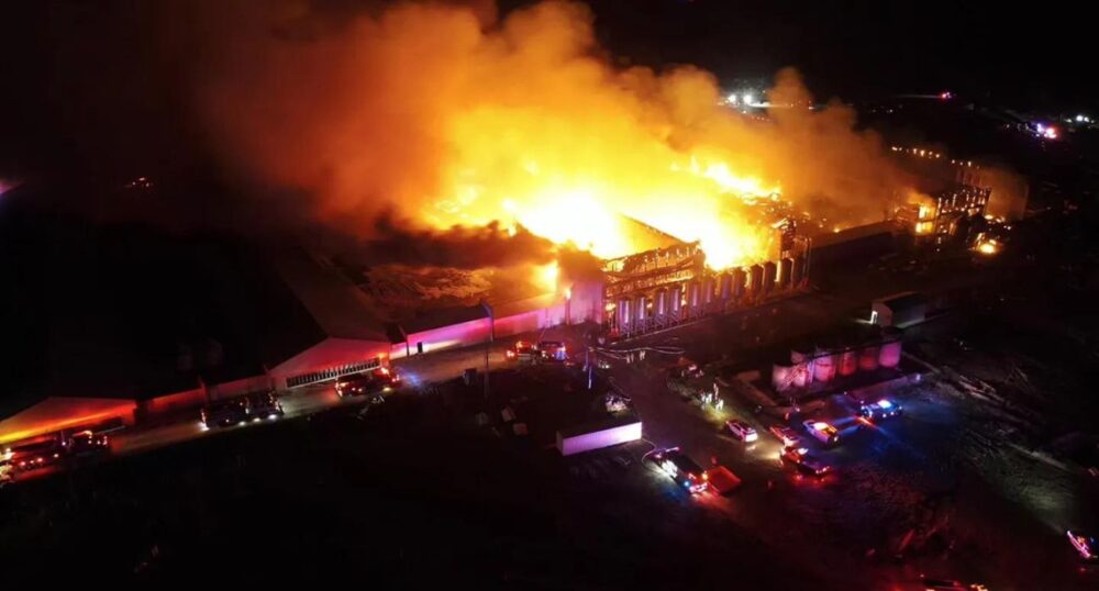 Blaze Destroys Texas Chicken Farmhouses