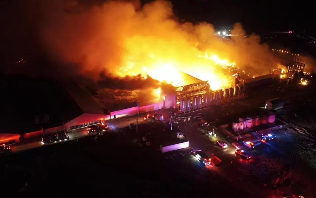 Blaze Destroys Texas Chicken Farmhouses
