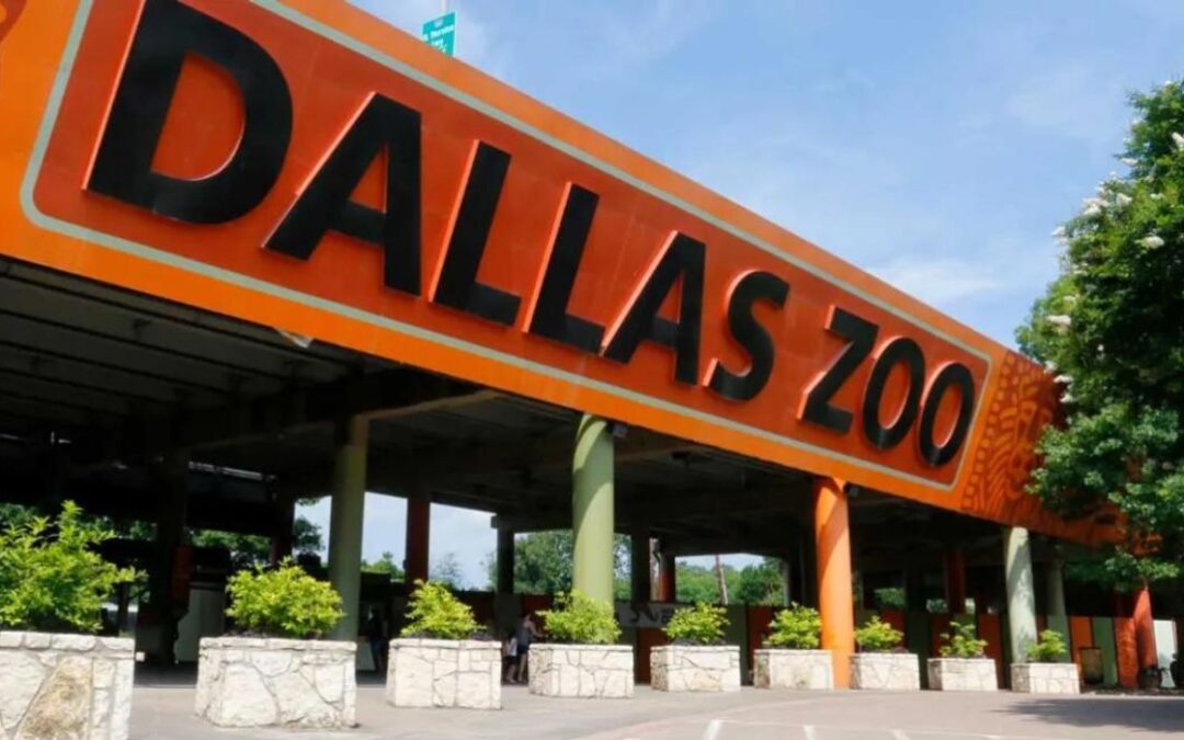 Dallas Zoo Steps Up Security