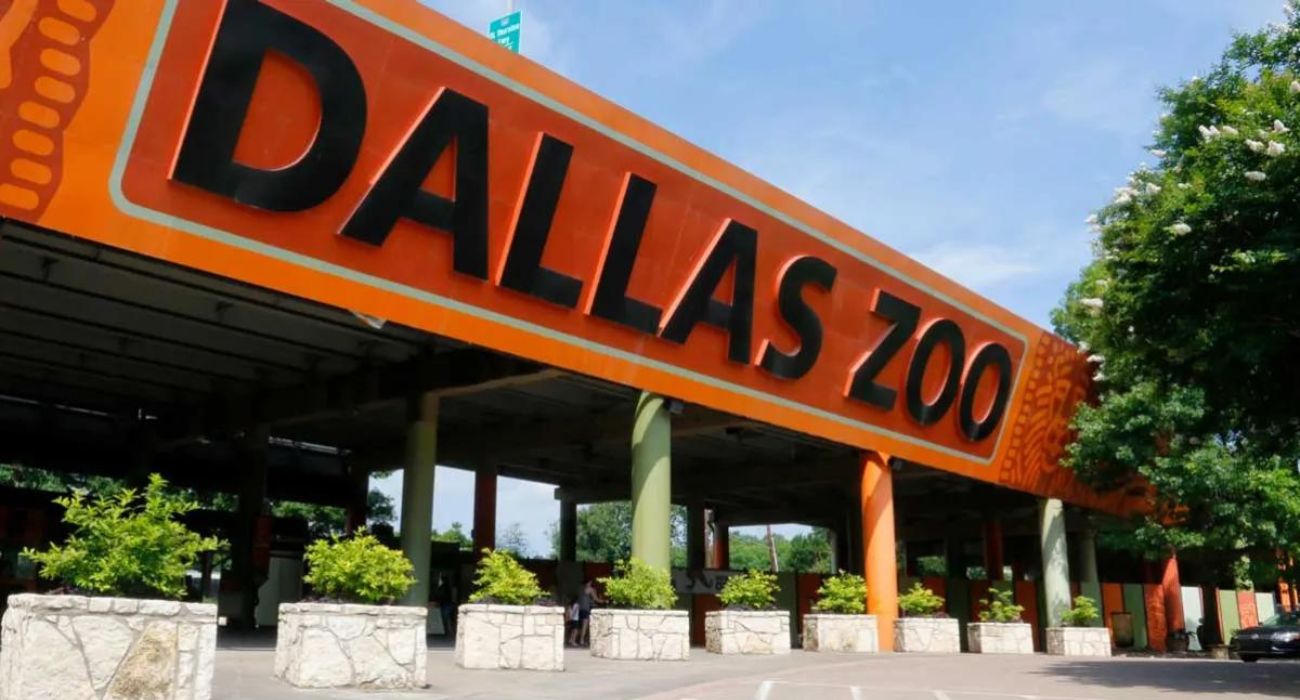Dallas Zoo Entrance
