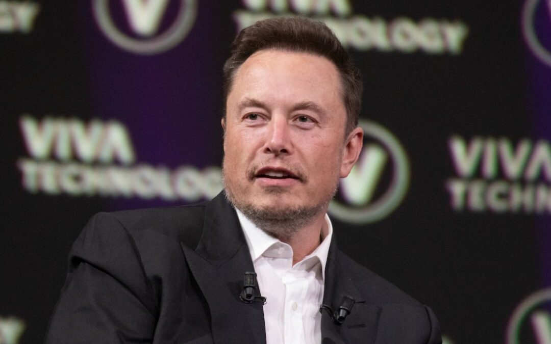 Musk: ‘Every Deportation Is a Lost Vote’ for Democrats