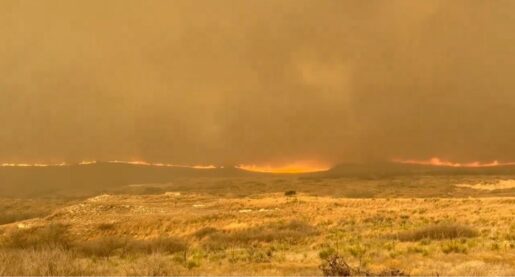 Abbott Issues Wildfire Disaster Declaration