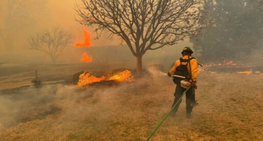 TX Wildfire Now Second-Largest in State History