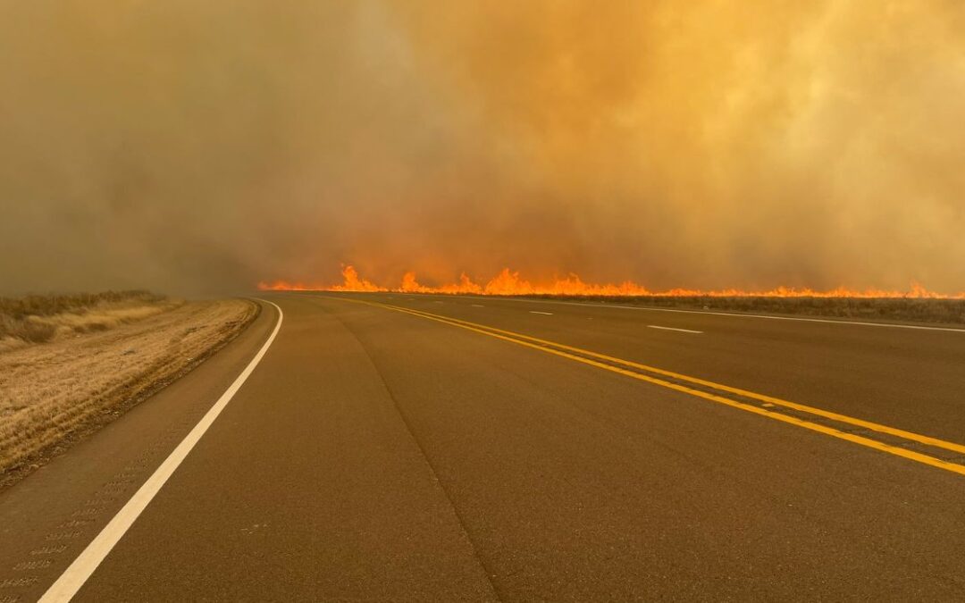 Panhandle Wildfire Becomes Biggest in TX History