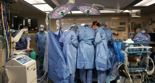 Doctors Perform Pig-Human Kidney Transplant