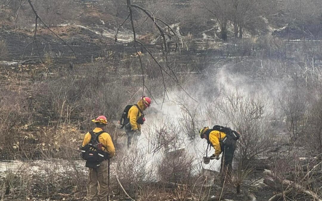 Fire Crews Struggle To Contain Panhandle Wildfire