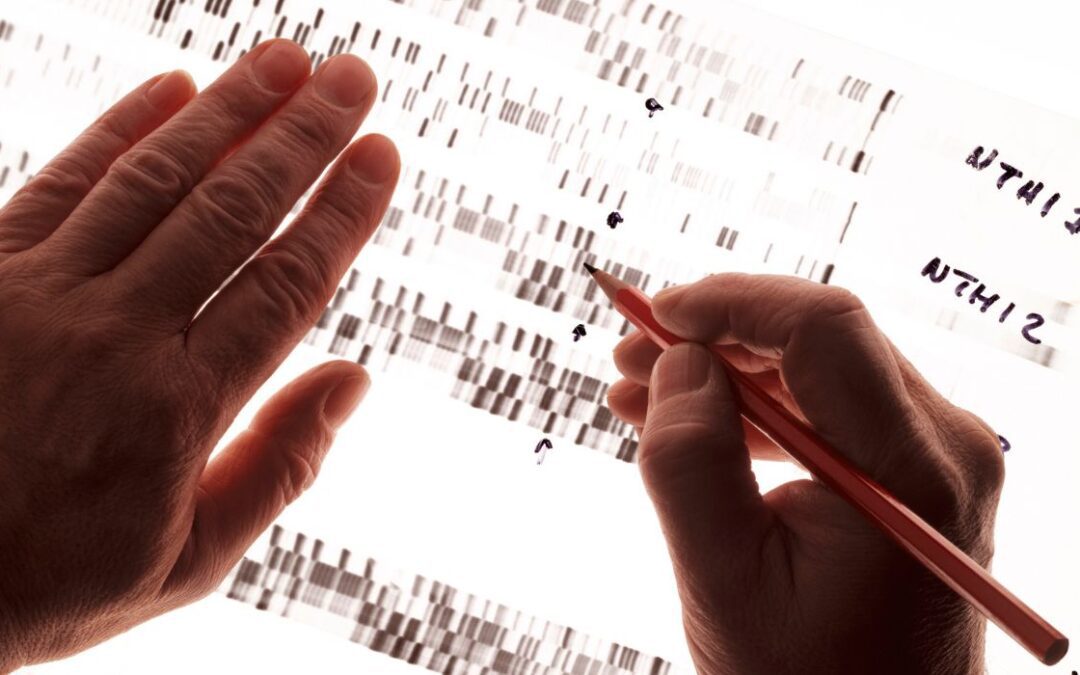 Recent Rape Conviction Shows Benefits of Genetic Genealogy