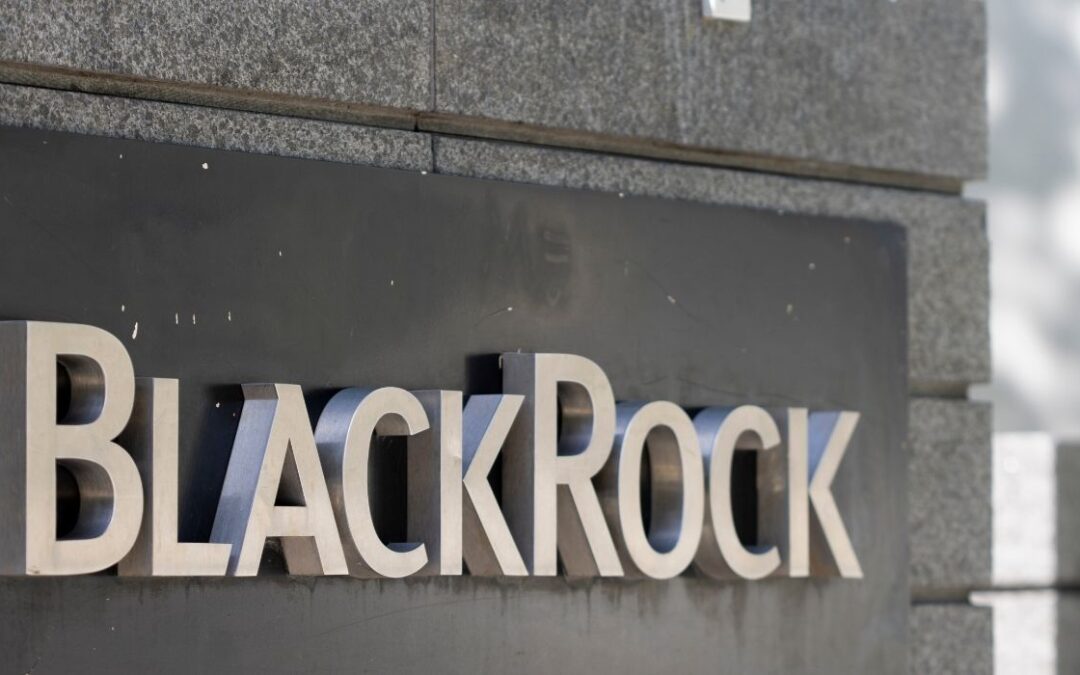 Texas Entities Still Invested in BlackRock