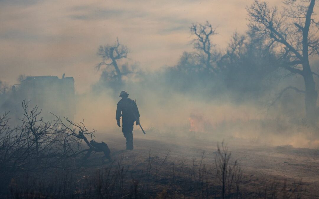 Demanda por muerte por negligencia presentada por incendios forestales