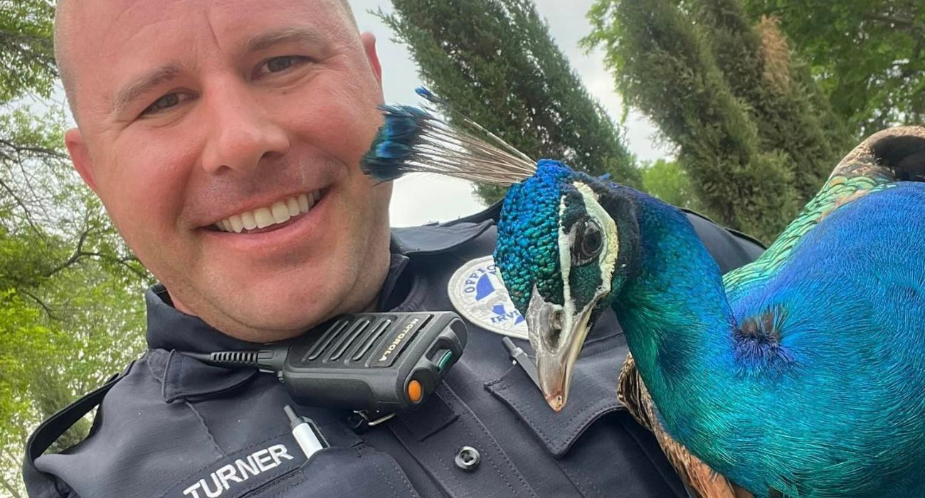 Officer Turner with a peacock