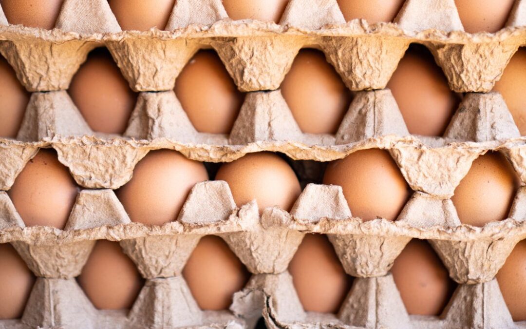Es poco probable que aumenten los precios de los huevos y la leche