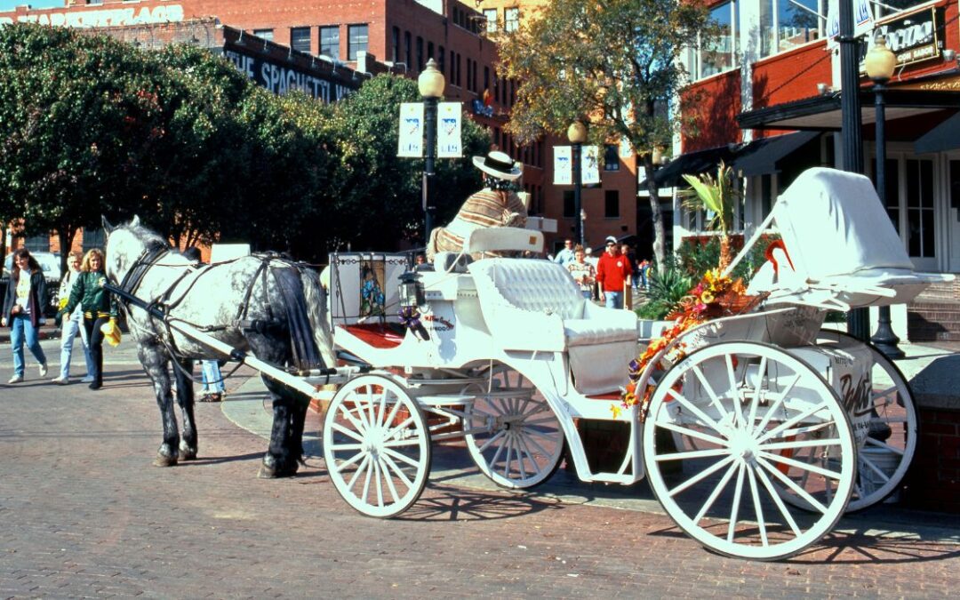 Dallas To Consider Horse-Drawn Carriage Ban