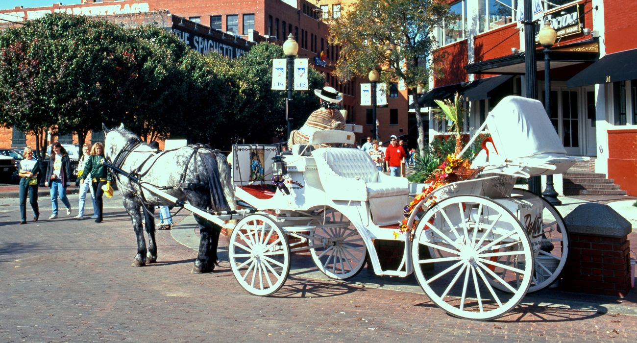 Horse-drawn carriage in Dallas, Texas.