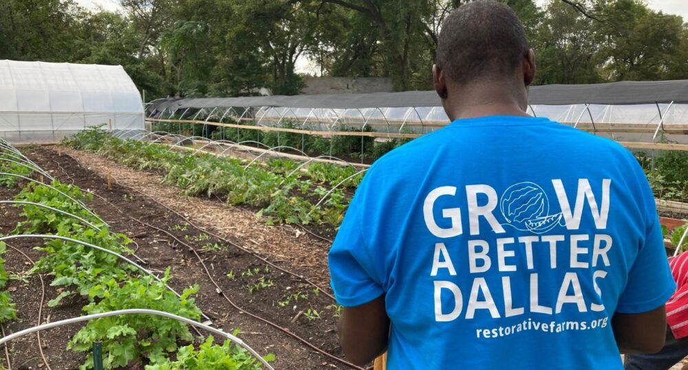 Restorative Farms Founder Talks Sustainable Food Projects