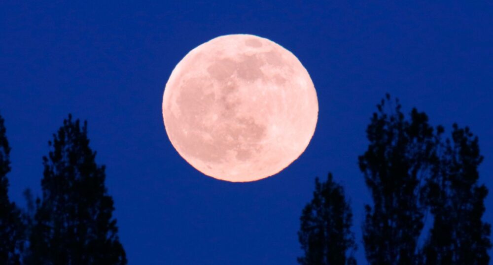 ‘Pink Moon’ To Appear Monday Night