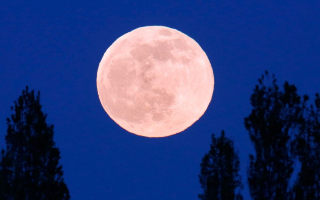 ‘Pink Moon’ To Appear Monday Night