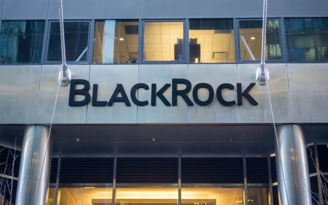 Opinion | Advice To BlackRock: Attack The Problem, Not Your Customer