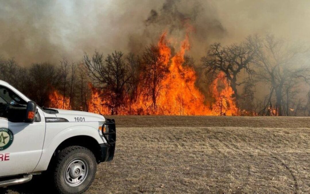 Informe de la Cámara de Representantes confirma que un poste de energía inició una catástrofe por incendios forestales en Texas