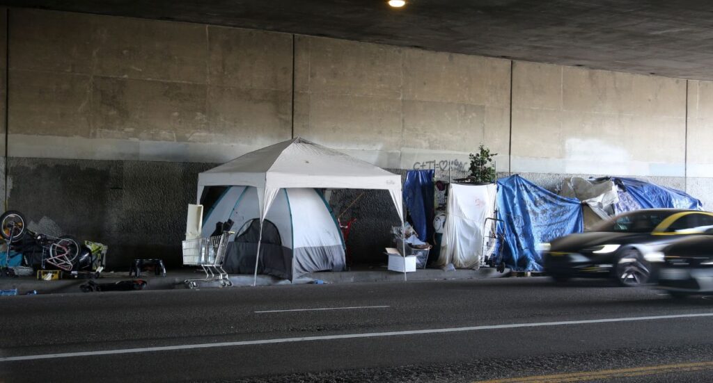 Homeless encampment under a bridge in Venice, California | Image by mikeledray/Shutterstock