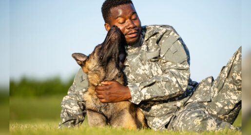 New Study Shows How Service Dogs Help Vets With PTSD