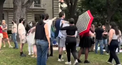 VIDEO: Alex Stein Assaulted at ‘Gays for Palestine’ Protest