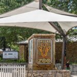 Schedule Drops for Dallas Zoo’s Dollar Days