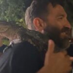 Three Texans Ticketed for Carrying Live Gator Through Streets