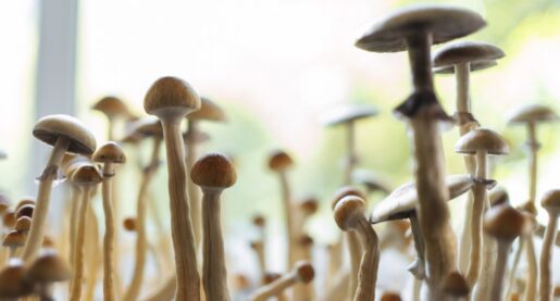 Calls to U.S. Poison Centers Spiked After ‘Magic Mushrooms’ Were Decriminalized