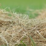 Officials Delay Recommending Ag Code Revisions