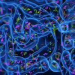 Gut Health May Influence How We Handle Stress