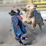 Check Out Weekly Ultimate Bullfighting in Fort Worth